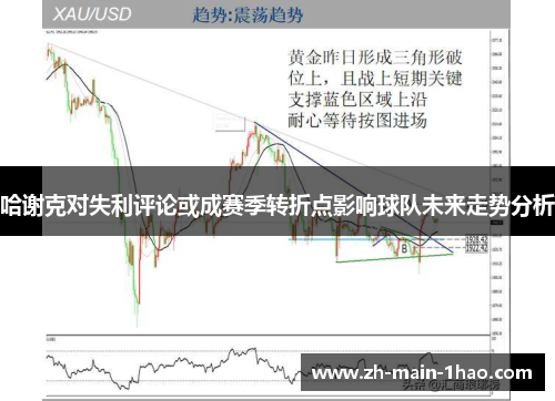 哈谢克对失利评论或成赛季转折点影响球队未来走势分析