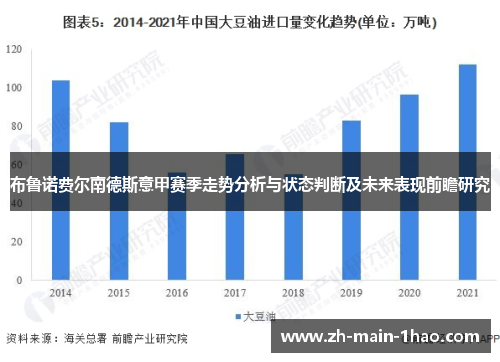 布鲁诺费尔南德斯意甲赛季走势分析与状态判断及未来表现前瞻研究